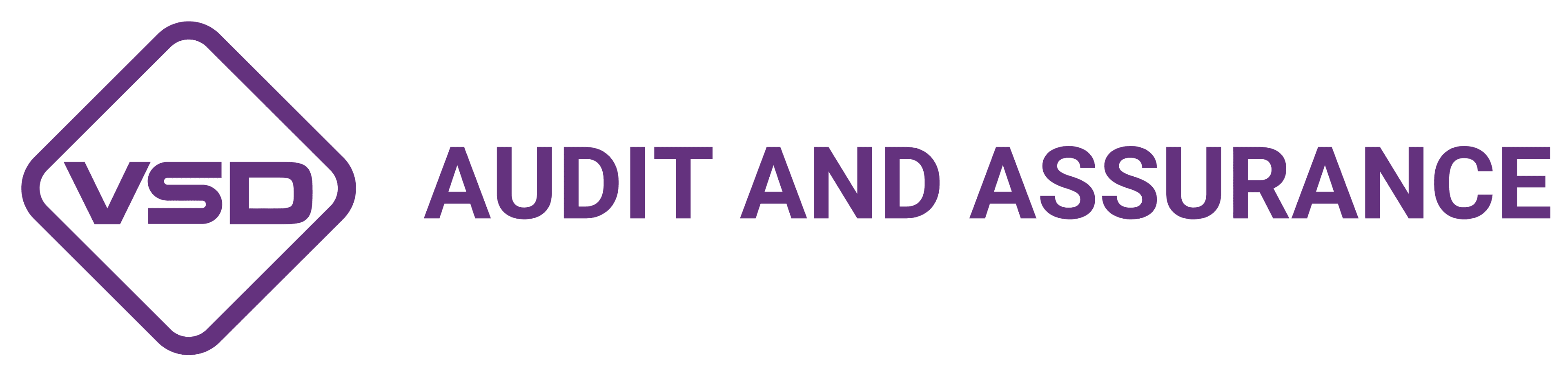 4_VSD_audit_and_assurance_Co_Ltd_788fd4946a